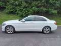 Mercedes-Benz C 180 C 180 BlueTEC Avantgarde Aut. Avantgarde Weiß - thumbnail 5