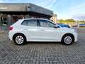Skoda Fabia 1.0 TSI Selection LED Sitzheizung Klimaautoma Weiß - thumbnail 6