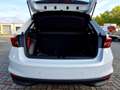 Skoda Fabia 1.0 TSI Selection LED Sitzheizung Klimaautoma Weiß - thumbnail 16