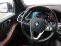 BMW X5 xDrive30d xLine Head-Up DAB Pano.Dach Shz Grey - thumbnail 9