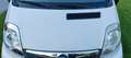 Opel Vivaro Vivaro L1H1 2,0 CDTI 2,7t Weiß - thumbnail 12