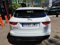 Jaguar F-Pace 2.0i4D Prestige Aut.RWD 180 White - thumbnail 15