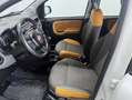 Fiat Panda 0.9 Twin Air turbo 4x4 85cv Bianco - thumbnail 7