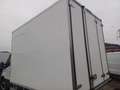 Iveco Daily 35S14 FRIGO Bianco - thumbnail 3