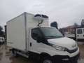 Iveco Daily 35S14 FRIGO Bianco - thumbnail 1
