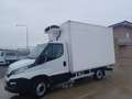 Iveco Daily 35S14 FRIGO Bianco - thumbnail 2