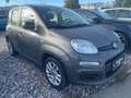 Fiat Panda Easy Grau - thumbnail 2