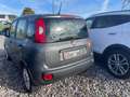 Fiat Panda Easy Grau - thumbnail 3
