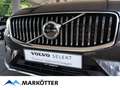 Volvo XC60 T6 AWD Recharge Core AHK/PANO/CAM/Google Grau - thumbnail 22