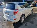 Toyota RAV 4 RAV4 2,2 D-4D 150 D-CAT 4WD Aut. Weiß - thumbnail 4