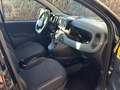 Fiat Panda Panda 1.2 EasyPower Noir - thumbnail 9