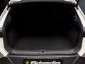 CUPRA Formentor 2.0 TSI VZ 4drive 310cv | *Tetto*ACC*360*Carplay Wit - thumbnail 23