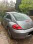 Volkswagen Maggiolino Cabrio 1.2 tsi Design 105cv - thumbnail 5