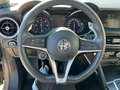 Alfa Romeo Stelvio Stelvio 2.2 t Sport Tech Q4 190cv auto Grijs - thumbnail 14