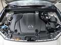 Mazda CX-30 Selection 186 PS *Automatik*AHK*LED* *Automatik*AH Gri - thumbnail 30