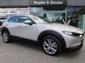 Mazda CX-30 Selection 186 PS *Automatik*AHK*LED* BOSE*Kamera*S Grau - thumbnail 6