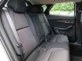 Mazda CX-30 Selection 186 PS *Automatik*AHK*LED* *Automatik*AH Gri - thumbnail 27