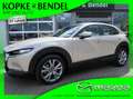Mazda CX-30 Selection 186 PS *Automatik*AHK*LED* BOSE*Kamera*S Grau - thumbnail 1