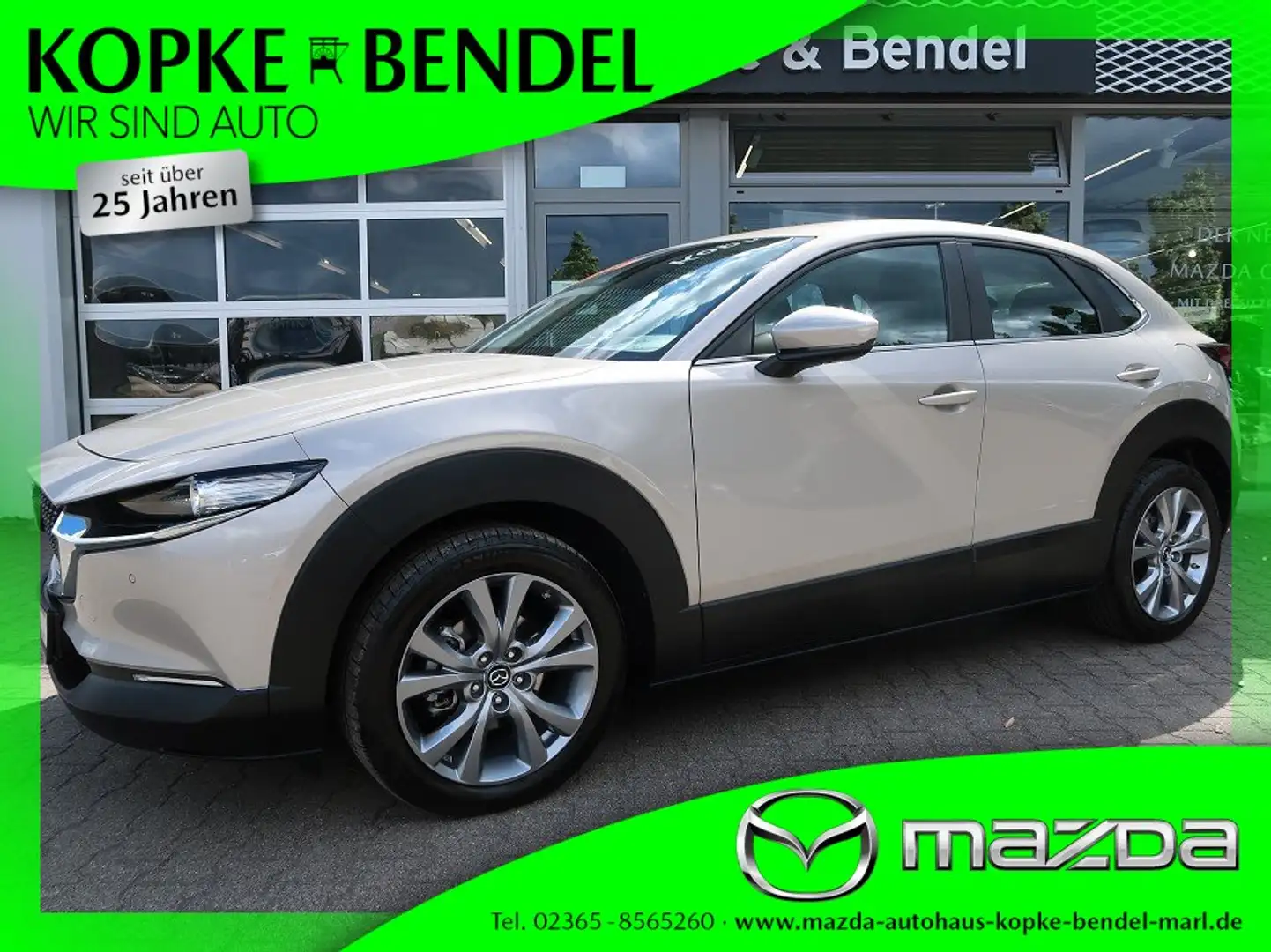 Mazda CX-30 Selection 186 PS *Automatik*AHK*LED* BOSE*Kamera*S Grau - 1
