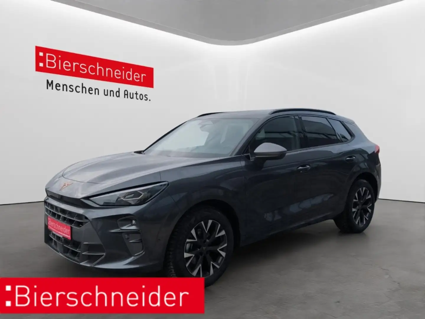 CUPRA Terramar 1.5 eTSI DSG MATRIX-LED HUD NAVI ACC PARKASS SHZ K Grau - 1