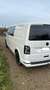 Volkswagen T6 Kombi Lang Mixto Ausbau 6-Sitzer LKW SiHZ Klima Checkh Weiß - thumbnail 4
