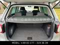 Volkswagen Golf Plus CROSS 2.0 TDI*AHK*SITZHZ*NAVI*KLIMAAUT Silber - thumbnail 9