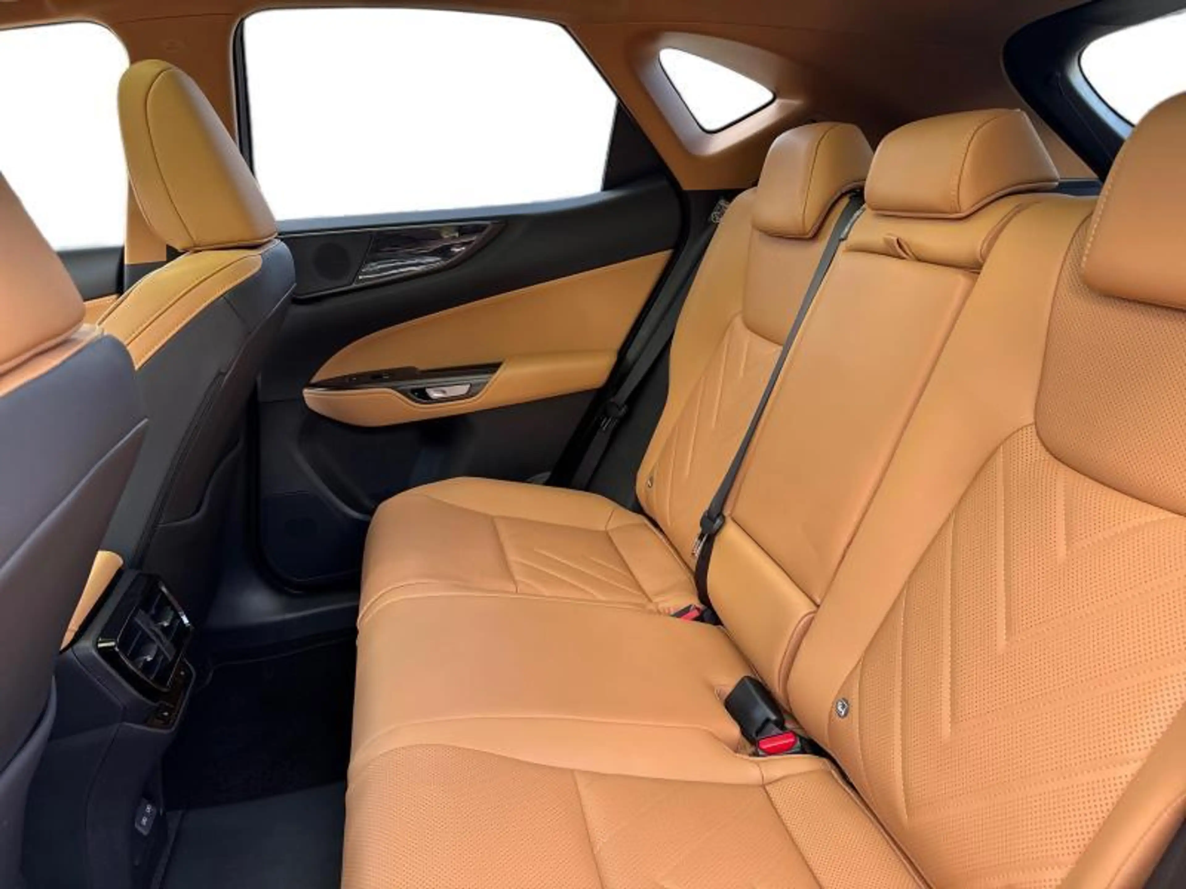 Lexus NX 450h+ Executive Line + Pano + Tow Bar — photo 10