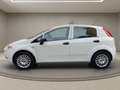 Fiat Grande Punto UNICO PROPRIETARIO - NEOPATENTATI Bianco - thumbnail 5