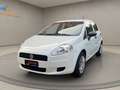 Fiat Grande Punto UNICO PROPRIETARIO - NEOPATENTATI Bianco - thumbnail 1