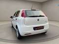 Fiat Grande Punto UNICO PROPRIETARIO - NEOPATENTATI Bianco - thumbnail 6