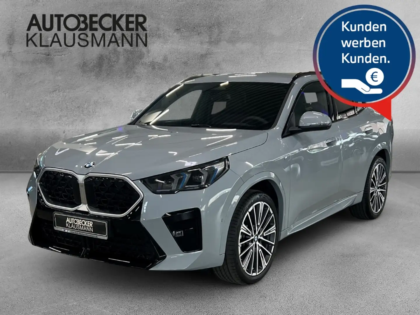 BMW X2 sDrive20i M Sport LMR 20'' Park-Assistent HUD AD N Grey - 1