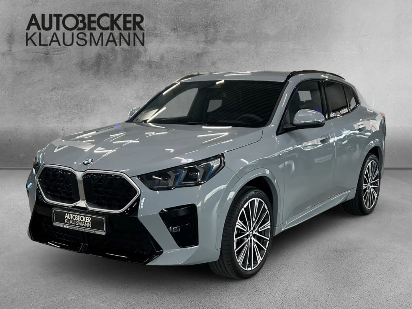 BMW X2 sDrive20i M Sport inkl. Winterradsatz Gris - 1
