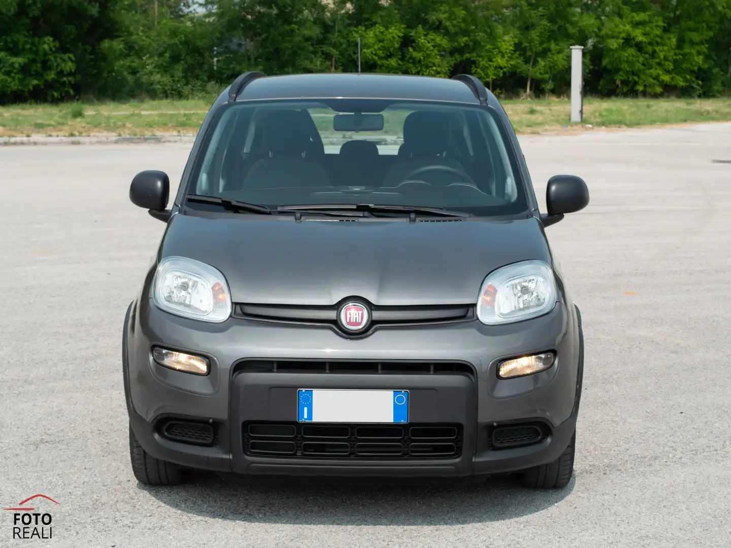 Fiat Panda 1.0 FIREFLY S&S HYBRID CITY LIFE 70 CV Grau - 2