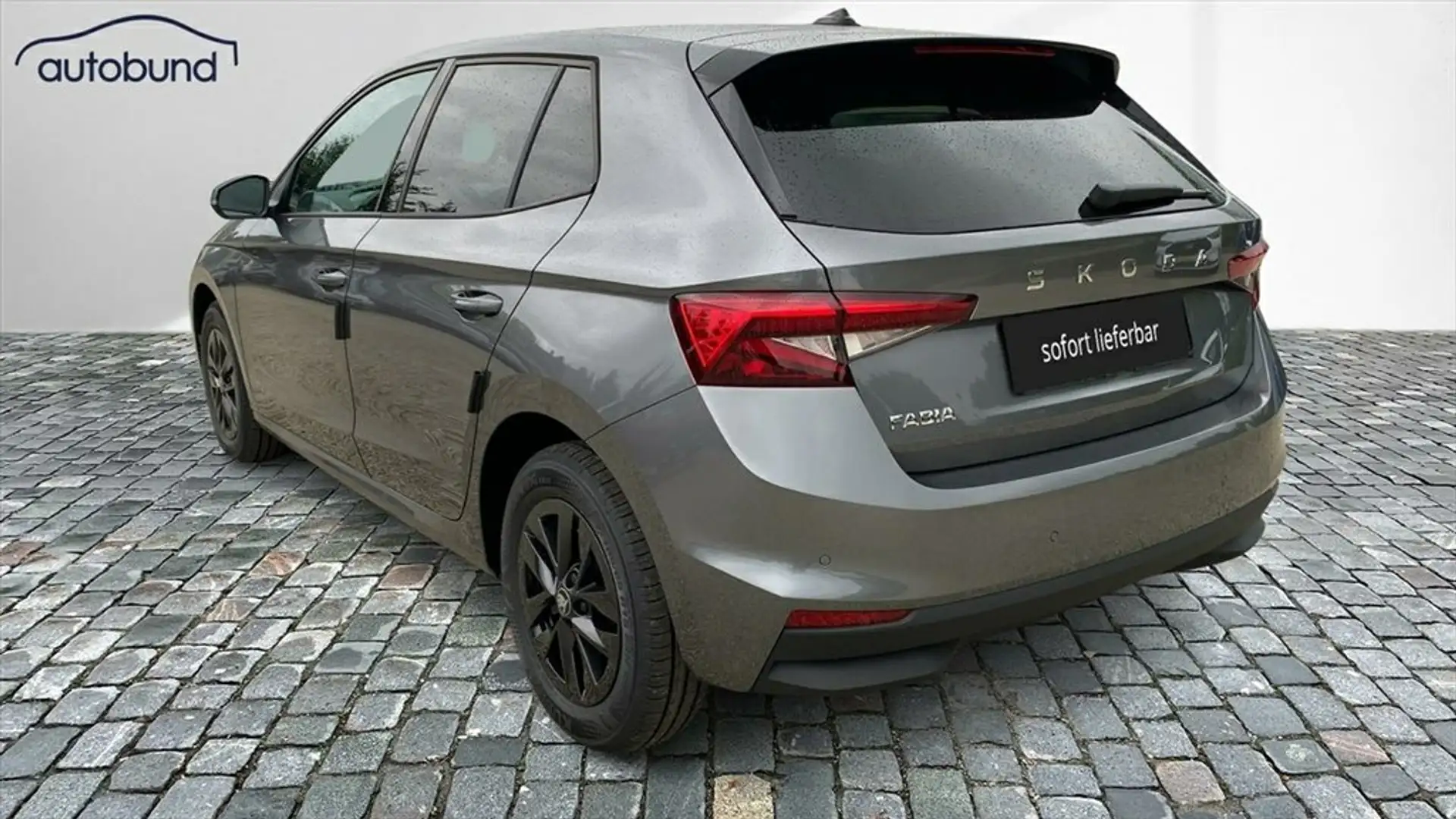 Skoda Fabia IV 1,0 TSI digital Cockpit Keyless LED Grau - 2