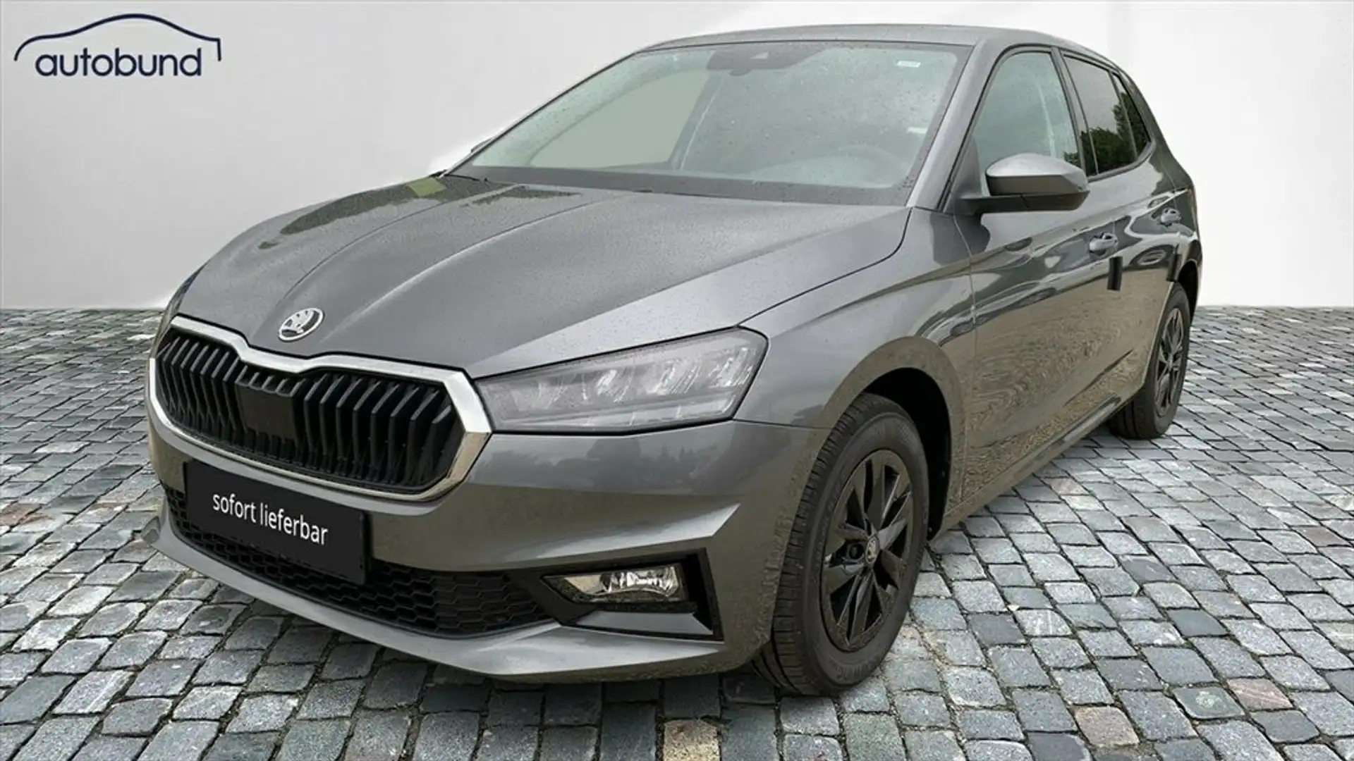 Skoda Fabia IV 1,0 TSI digital Cockpit Keyless LED Grau - 1
