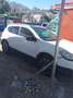 Nissan Qashqai 1.6 dci Tekna NECESSITA DI MOTORE - thumbnail 2