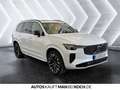 Volvo XC90 T8 AWD Plug-in Hybrid Elektrisch/Benzin Plus Weiß - thumbnail 6