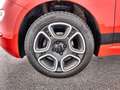 Fiat 500 Lim. Club 1.0*Klima*BTH*DAB*uvm Rojo - thumbnail 6