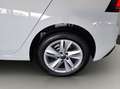 Volkswagen Golf Life 1,5 l eTSI OPF 85 kW (116 PS) 7-Gang-D Weiß - thumbnail 20