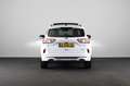 Ford Kuga 2.5 PHEV ST-Line X | Pano | Winterpakket | Hud | B Blanc - thumbnail 5