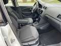 Volkswagen Polo Polo V  5-Türer 1.2TSI AUTOMATIK*KLIMA*PDC*ALU* Bianco - thumbnail 8