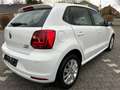 Volkswagen Polo Polo V  5-Türer 1.2TSI AUTOMATIK*KLIMA*PDC*ALU* Bianco - thumbnail 3