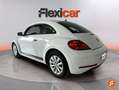 Volkswagen Beetle 2.0TDI Beetlemanía 81kW Blanco - thumbnail 4
