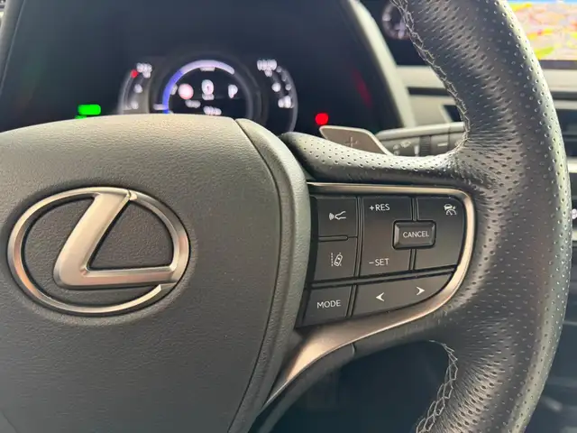Lexus Ux view 11