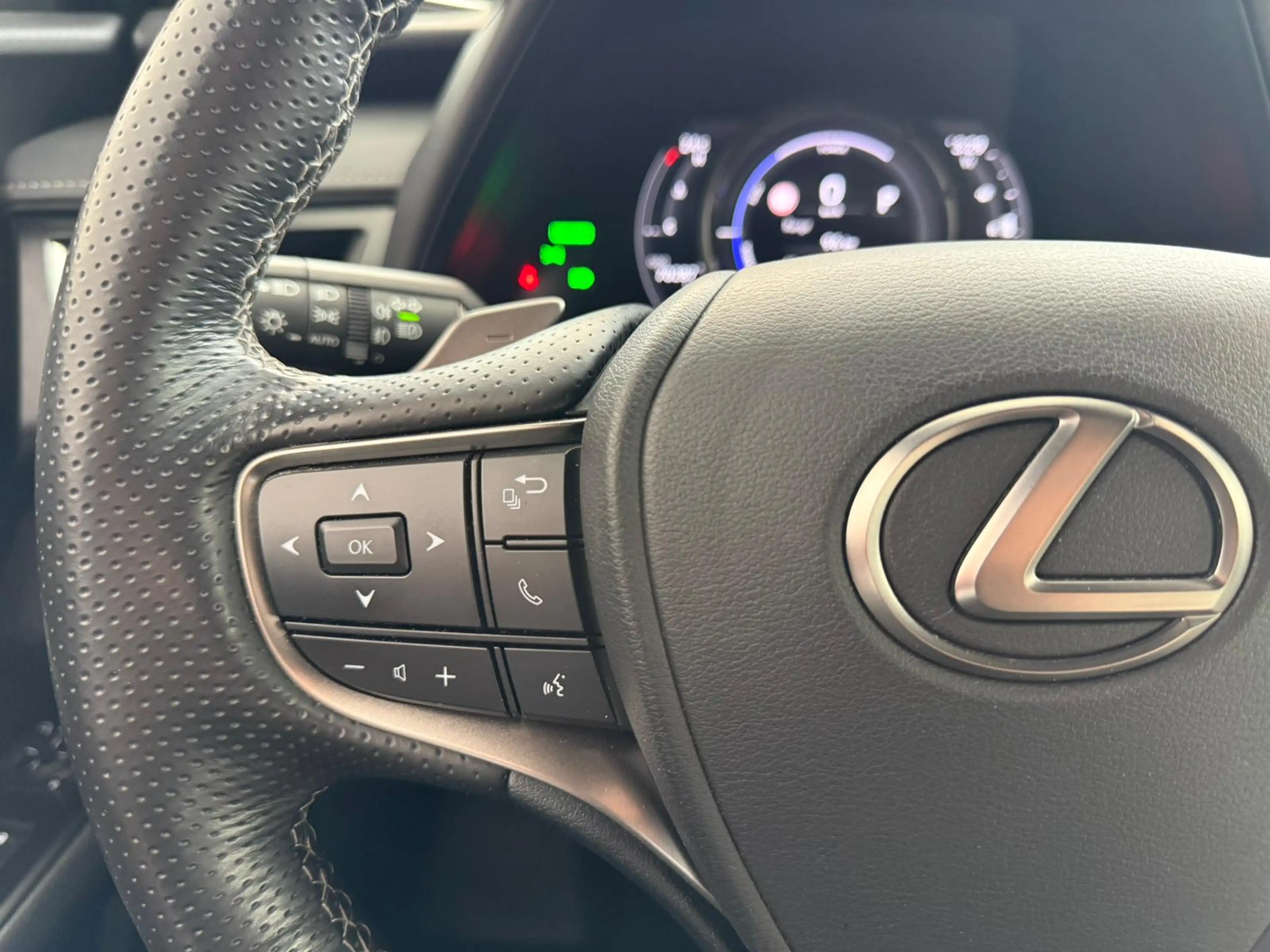 Lexus UX 250h AWD F Sport Premium | Mark Levinson | 360' Camera — photo 10
