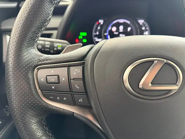 Lexus Ux view 10
