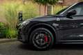 Alfa Romeo Stelvio 2.9 V6 AWD Quadrifoglio 510 PK Adaptive Cruise Har Zwart - thumbnail 11