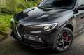Alfa Romeo Stelvio 2.9 V6 AWD Quadrifoglio 510 PK Adaptive Cruise Har Zwart - thumbnail 12