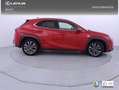 Lexus UX 250h F Sport Cuero 2WD Rouge - thumbnail 28