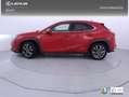 Lexus UX 250h F Sport Cuero 2WD Rouge - thumbnail 3